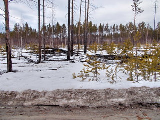 #1: Вид с дороги в сторону пересечения/Towards the confluence. View from the road