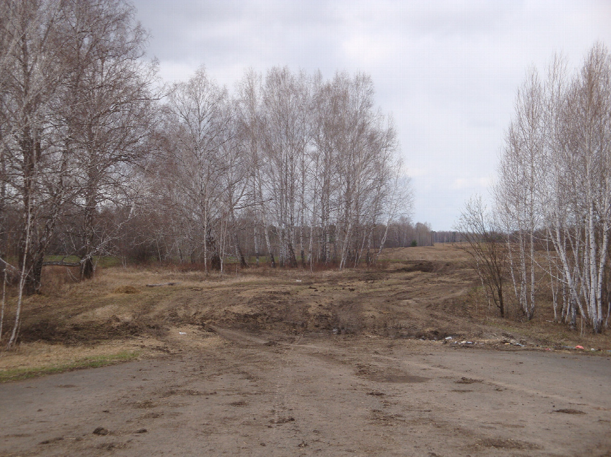 Съезд на полевую дорогу / Exit to the field road