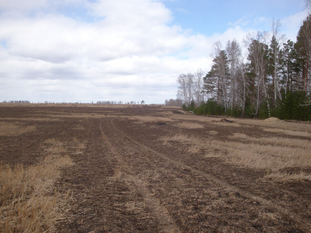 Весенние поля / Spring fields