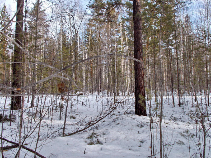 На Север/North