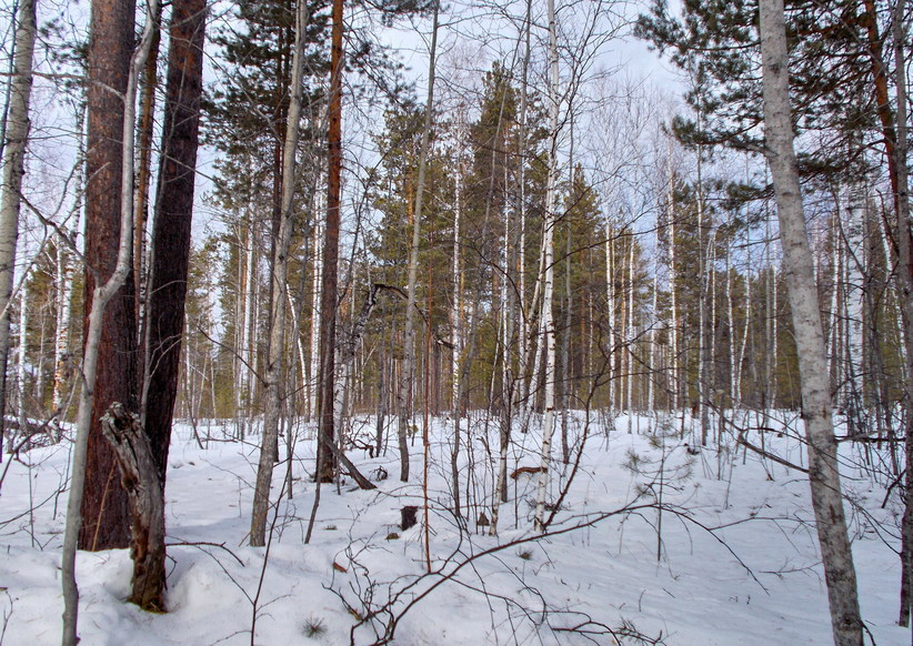 на Запад/West