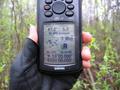 #6: GPS