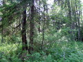 #4: South view