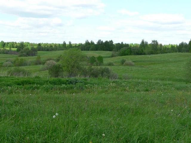 Terrain around the CP area