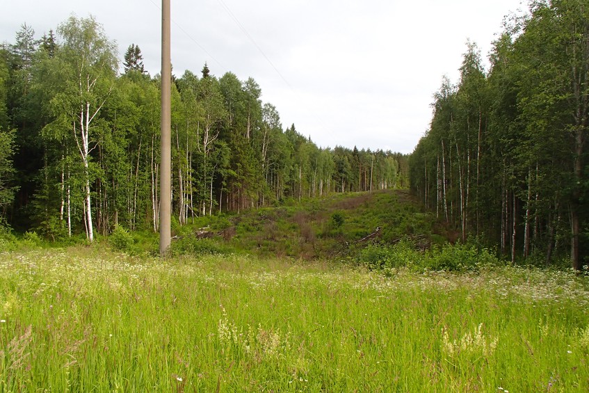 Power line clearing / Просека ЛЭП