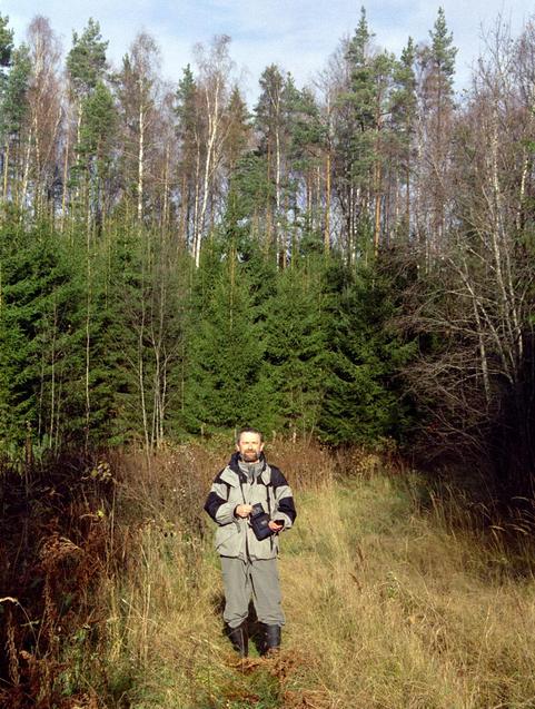 Young forest on a clearing and more mature forest at the background