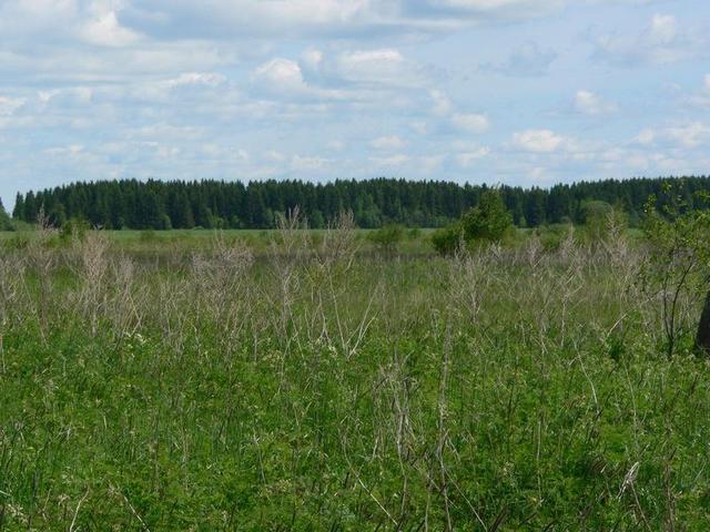 East view