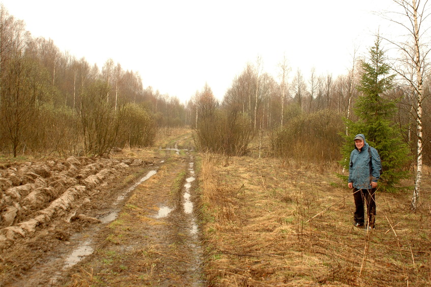 Dirt field road 1 / Полевая дорога 1