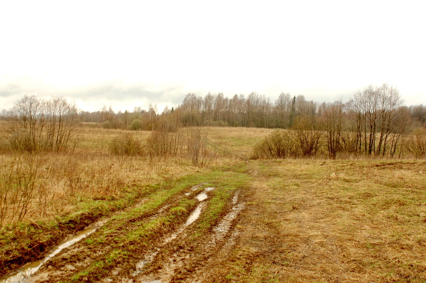 Dirt field road 2 / Полевая дорога 2