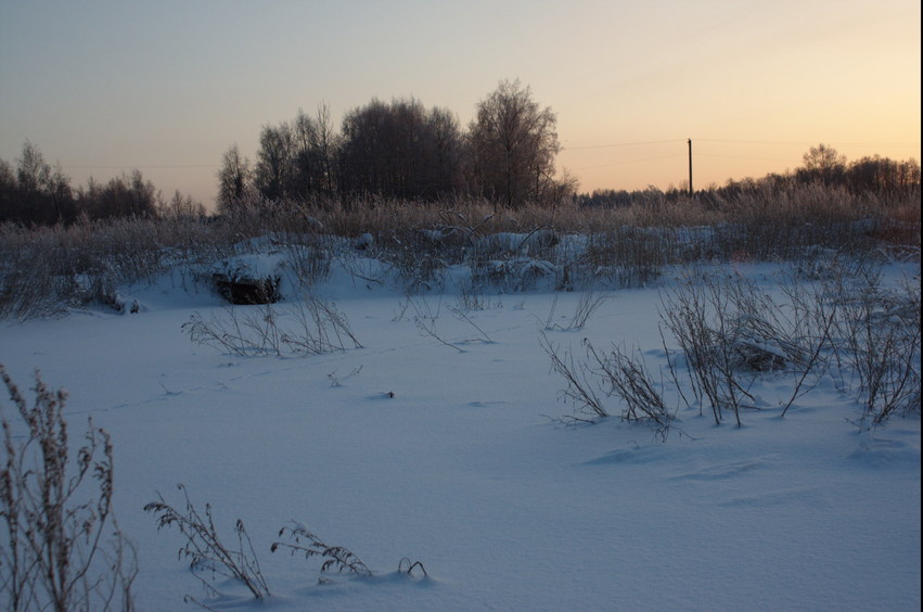 Dung ditch/Выгребная яма