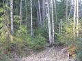 #4: South view