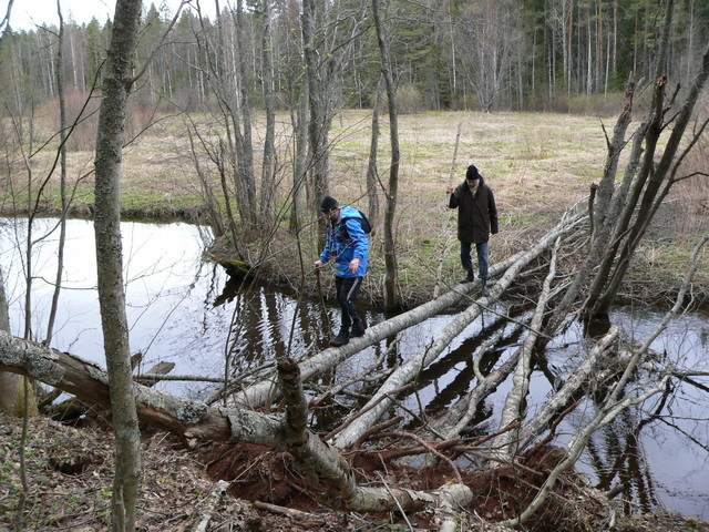 Over the brook