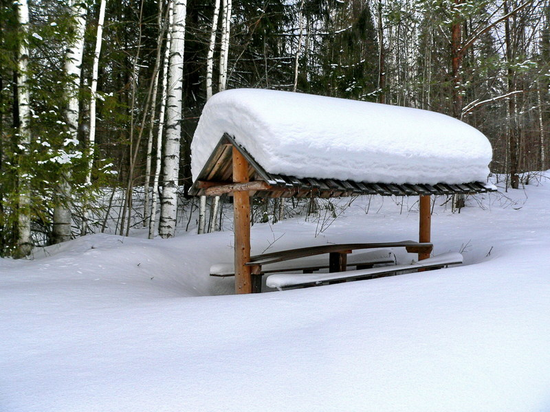 Вот сколько снега/How much snow