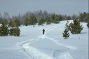 #11: Назад, по снегоходному следу/Way back, onto snowmobil trace
