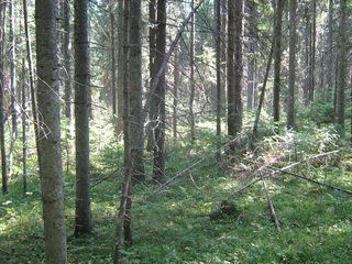 #1: General view of the confluence