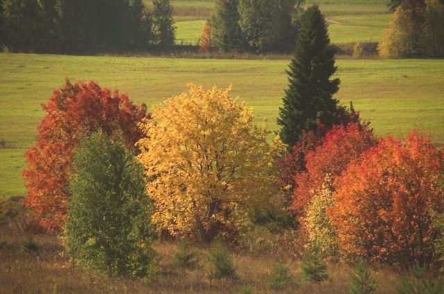 Landscape near Perm