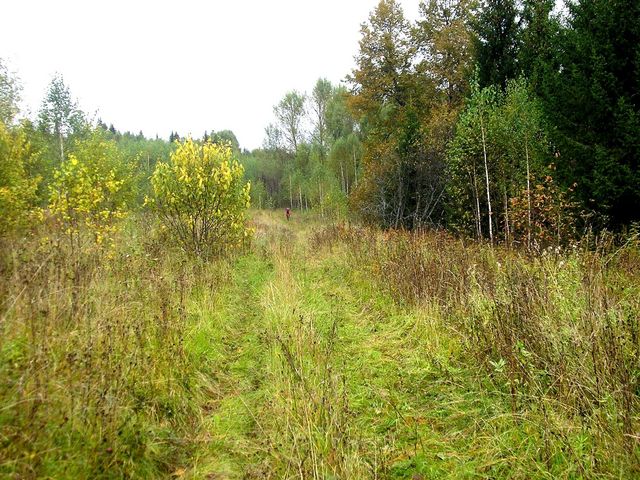 The road to the confluence