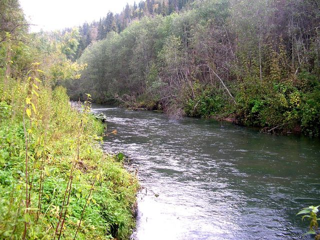 Kutamysh river