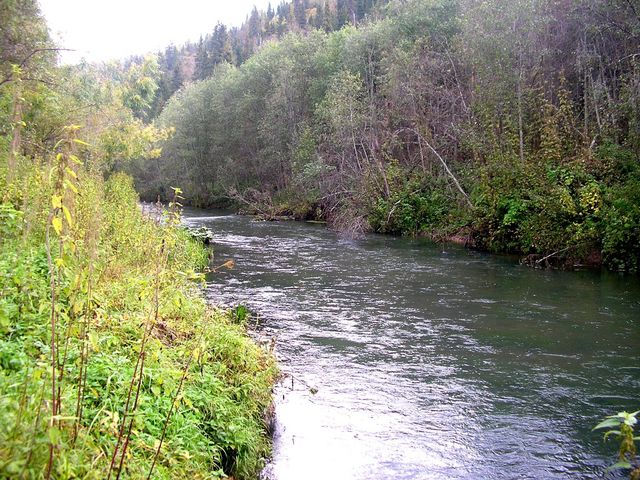 Kutamysh river