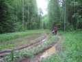 #10: At the same timber-carrying road between Sverdlovsk and Perm Regions of Russia (between Verkhnyaya Oslyanka and Kyn villages)