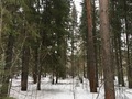 #5: View to the West