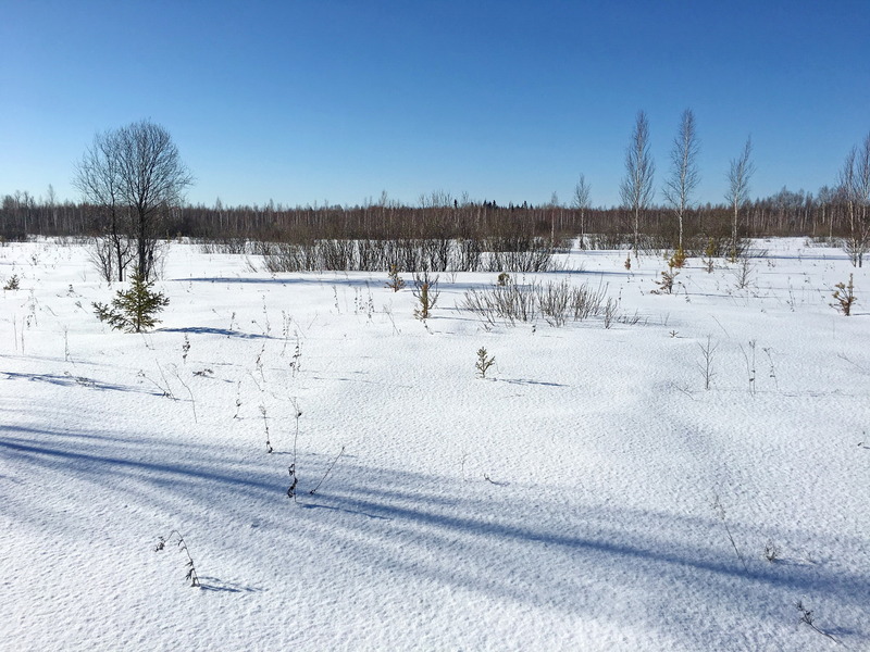 The Confluence from 20 m distance, to the South