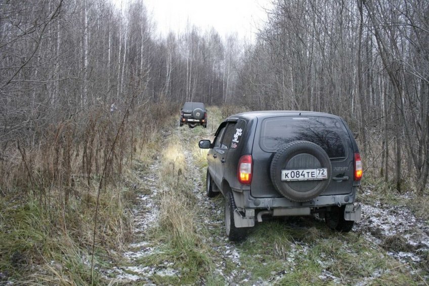 На въезде в лес/Entrance to the forest