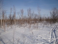 #2: Север / North