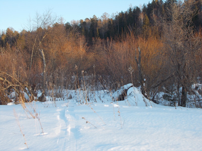 В кустах конфлюенция/The confluence is in the bushes