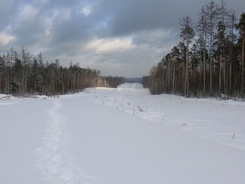 Road to the confluence