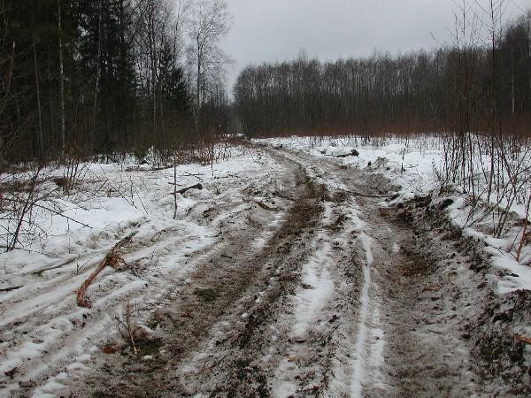 road to the confluence 59N-28E