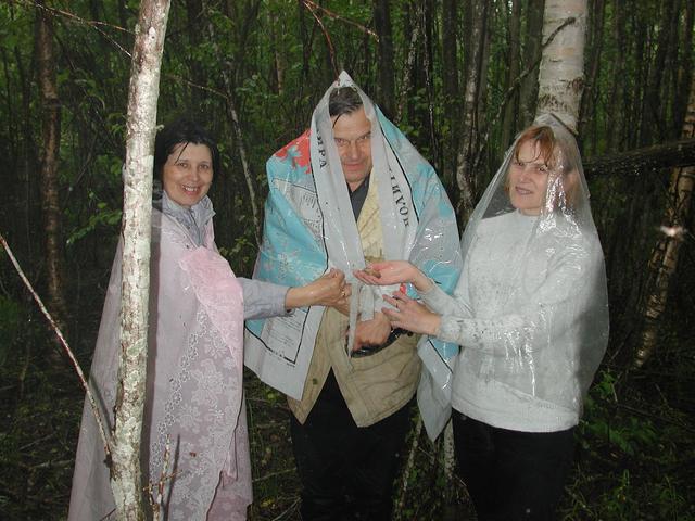 В лесу под дождём -- In the forest under the rain