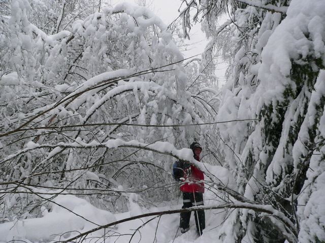 Maxim, 1.2 km from the point