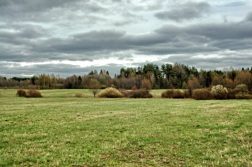 East view/Восток