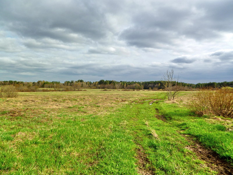 400 m to the confluence/До точки 400 метров