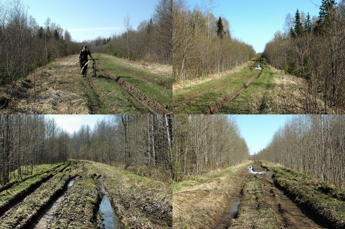 Our path with bikes/Первый час еще с велосипедами