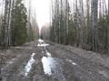 #4: The path to the spot