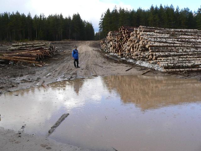 The dry path of the road/Сухой участок дороги