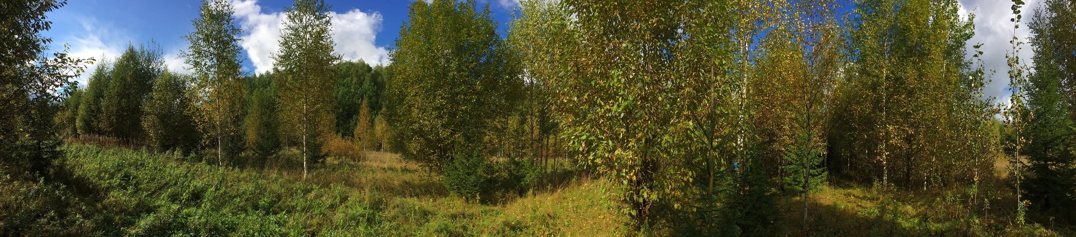 Panoramic view from the confluence point