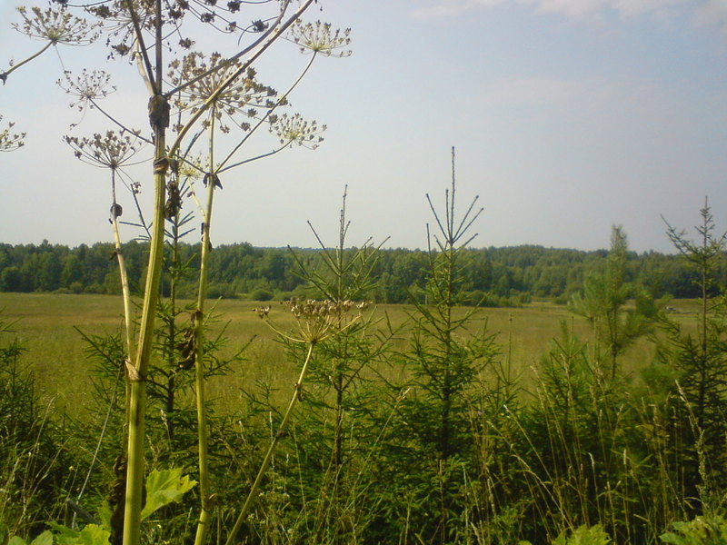 Вид на запад/West view