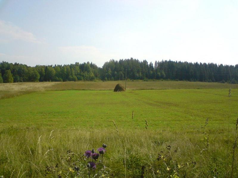 Стог сена/Haystack