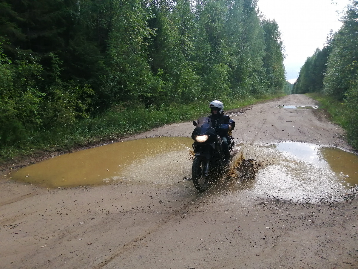 Puddles on the road