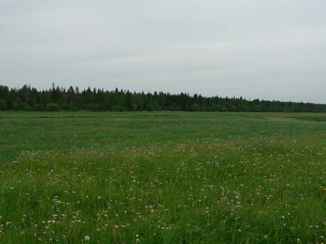 Вид на север - North view