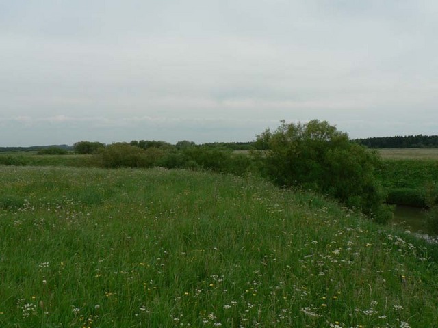 Вид на восток - East view