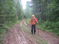 #8: Forest road from oil-transfer station to Romanovo village
