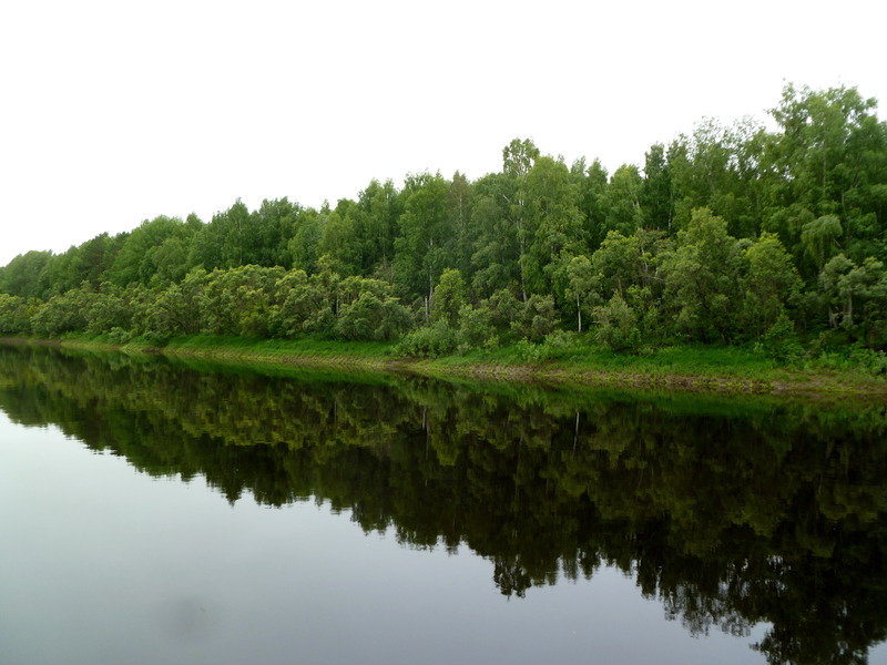 General view towards the goal / Общий вид в сторону цели