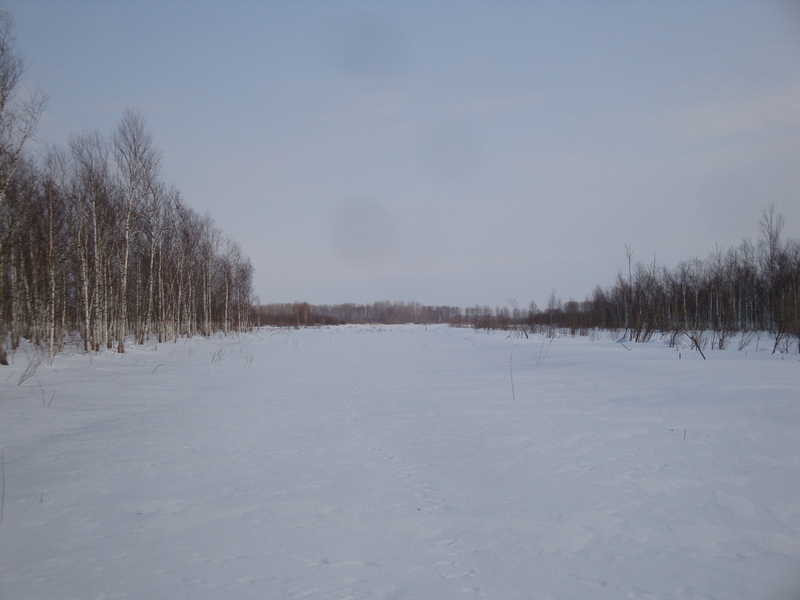 В сторону пересечения 1,99 км / Towards the confluence, 1.99 km