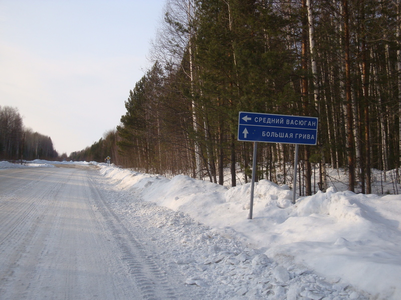 Дорога / The road