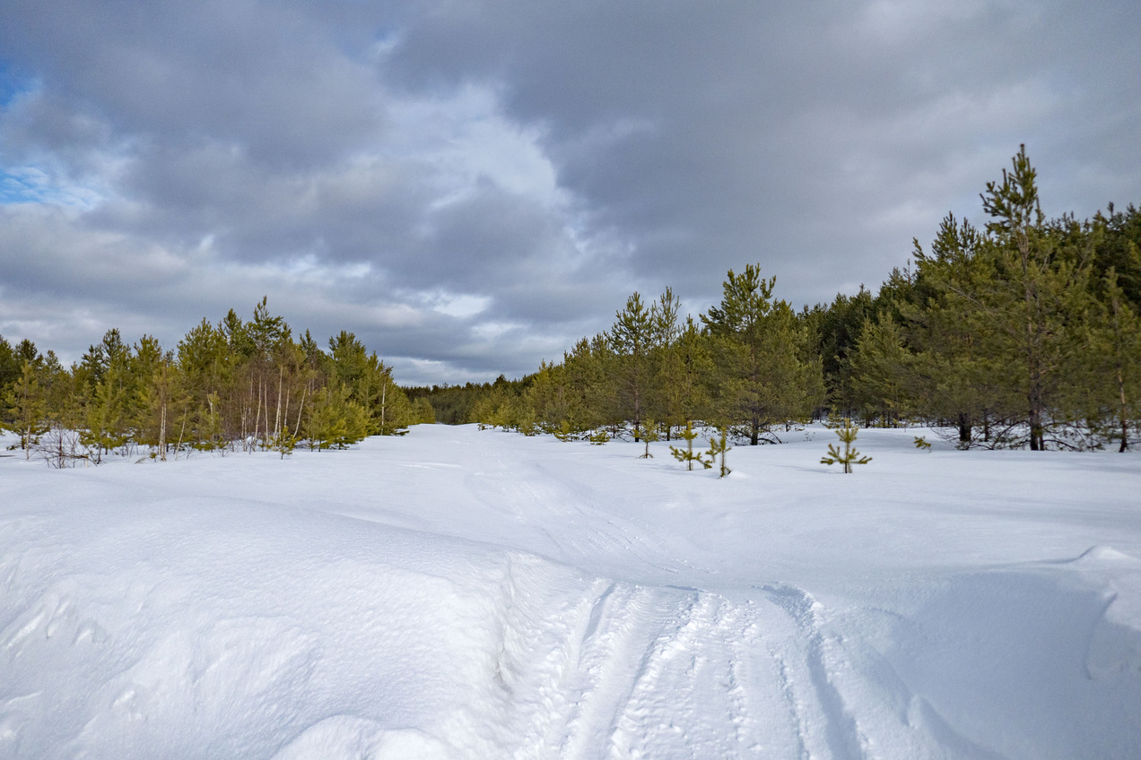 Вид в сторону пересечения / View towards CP