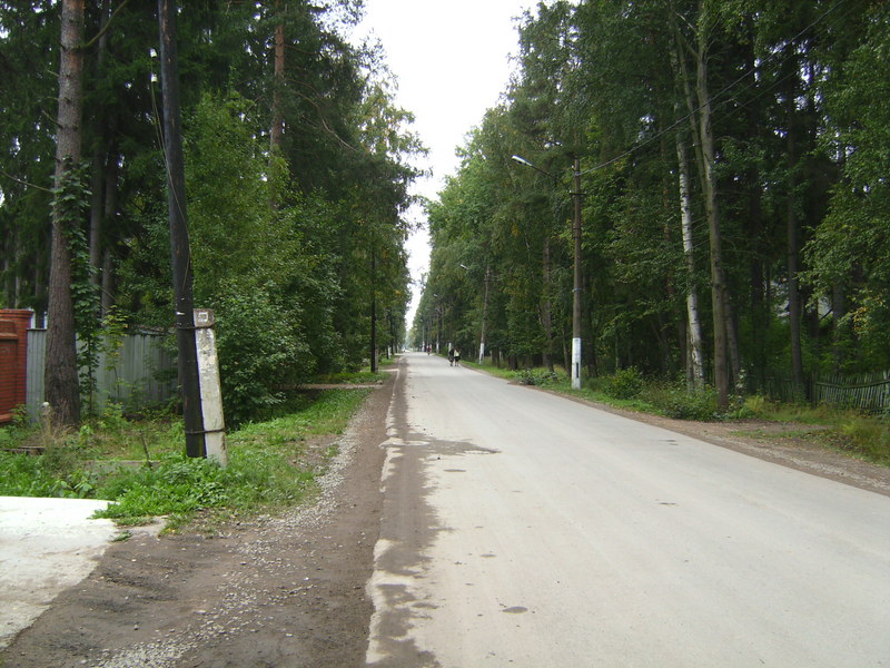 Straße in Lisiy Nos - Way in Lisiy Nos